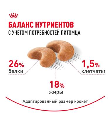 ROYAL CANIN Dry food for dogs of breed French bulldog 3 kg x 2 pcs - Buy Online on GoSupps.com