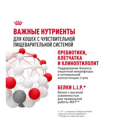 ROYAL CANIN Wet digestive food for cats and cats 85 g x 56 pcs - Buy Online on GoSupps.com