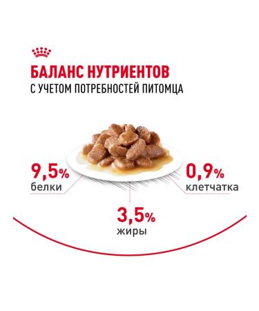 ROYAL CANIN Wet digestive food for cats and cats 85 g x 56 pcs - Buy Online on GoSupps.com