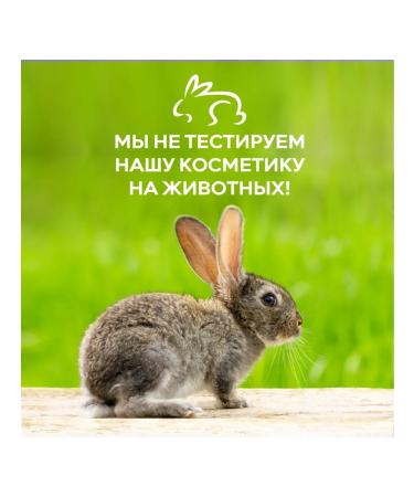 VITA MILK Shower gel melon vanilla watermelon - Buy Online on GoSupps.com