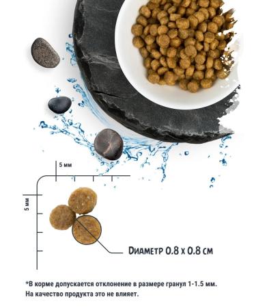 Territory Feed for small breeds of dogs with white fish 2.5 kg - Buy Online on GoSupps.com