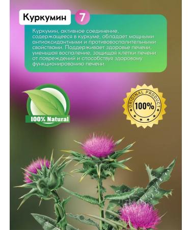 SW SS BORK TURKEY Proopsha for the liver capsule T rkiye - Buy Online on GoSupps.com