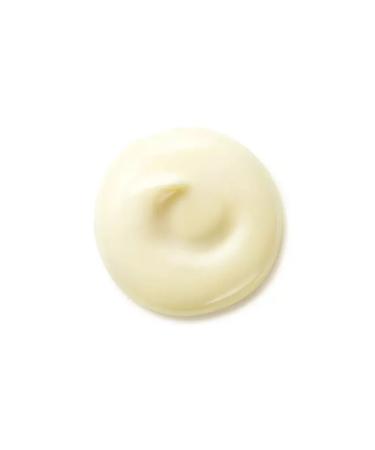 Shiseido creams Day cream Benefance Wrinkle Smoothing Day Cream 50 ml - Buy Online on GoSupps.com