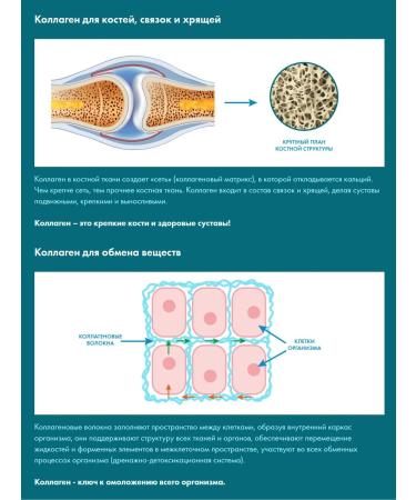 Art Life Collagen for drinking joints + vitamin C liquid - Buy Online on GoSupps.com