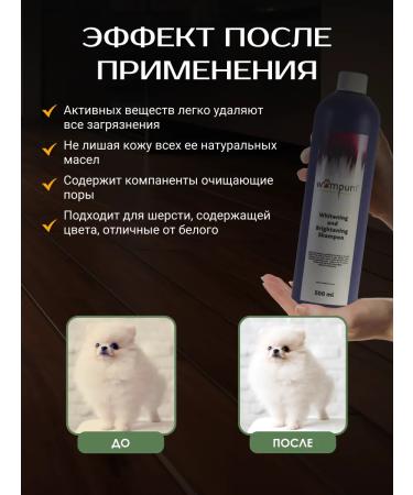 Wampum Grooming Products Whitening shampoo Whitening & Brightening Shampoo 500 ml - Buy Online on GoSupps.com
