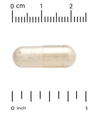 California Gold Nutrition Gepersin a 250 g 30 Huperzine a capsules - Buy Online on GoSupps.com