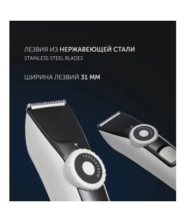 Maashinka for haircuts Polaris PHC 2002RB - Buy Online on GoSupps.com