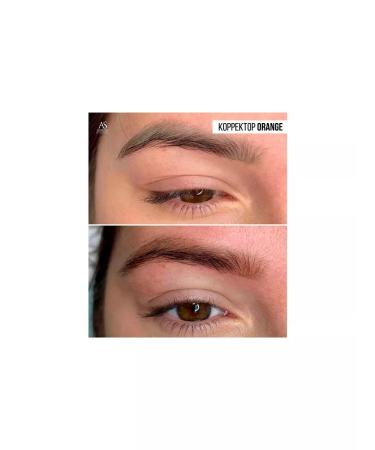 AS COMPANY BY ALINA SHAKHOVA Orange corrector for eyebrows eyelids and lips 6 ml - Buy Online on GoSupps.com