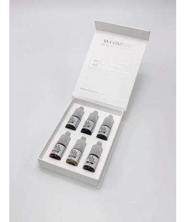 AS COMPANY BY ALINA SHAKHOVA Eyebrow pigments set 6 pcs - Buy Online on GoSupps.com