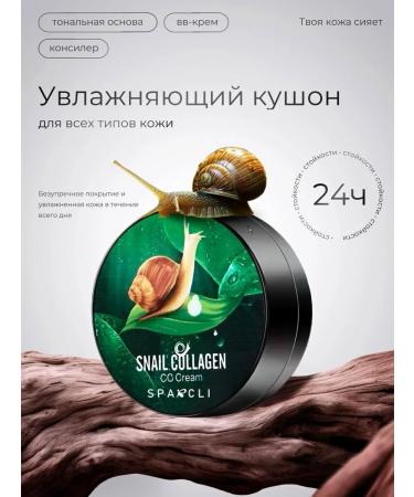 JOMTAM Tonal face for face bb concilled powder