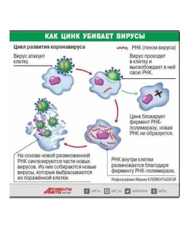 Green World Zinc for men women and children vitamins - Buy Online on GoSupps.com