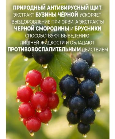 BIOLAR Vitamins for immunity and energy Immune Booster No. 60 Capsules - Buy Online on GoSupps.com