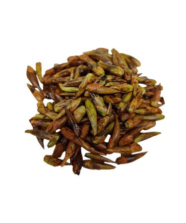 Altai Rost Popopolian kidneys 100 g - Buy Online on GoSupps.com