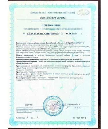 DR MYBO Ginkgo biloba + glycine 90 tab.-2 pcs - Buy Online on GoSupps.com