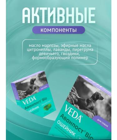 Veda Avanpost BIO Dogs Retellen 65cm Dogs - Buy Online on GoSupps.com