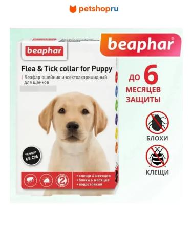 beaphar Collar for puppies from fleas black 65 cm