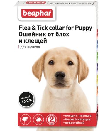 beaphar Collar for puppies from fleas black 65 cm - Buy Online on GoSupps.com