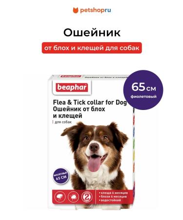 beaphar A collar from fleas and ticks for dogs purple 65 cm