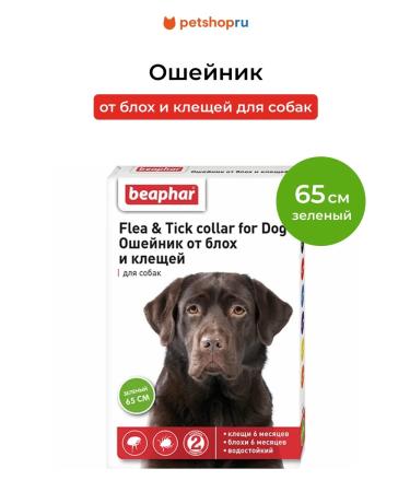 beaphar Collar from fleas and ticks for dogs green 65 cm