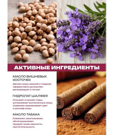 JERMiNAL -COSMETICS- Hair shampoo perfumed cherry tobacco 3l - Buy Online on GoSupps.com