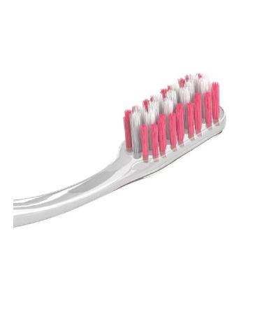 SPLAT Clinic Care Care Medium-4pcs Fields Professional - Buy Online on GoSupps.com