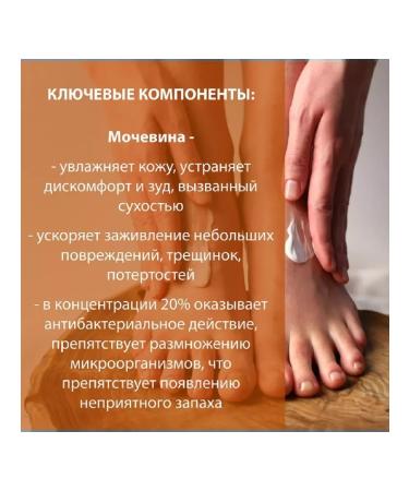 BELWEDER regenerating frozen-frozen foot cream with urine-2 pcs - Buy Online on GoSupps.com