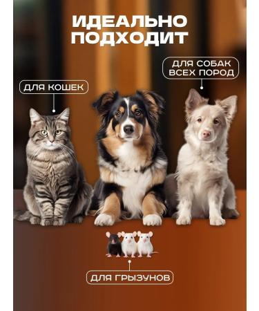 SMAK DOG Beef light delicacies for dogs 100 grams - Buy Online on GoSupps.com