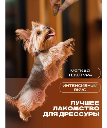 SMAK DOG Beef light delicacies for dogs 100 grams - Buy Online on GoSupps.com