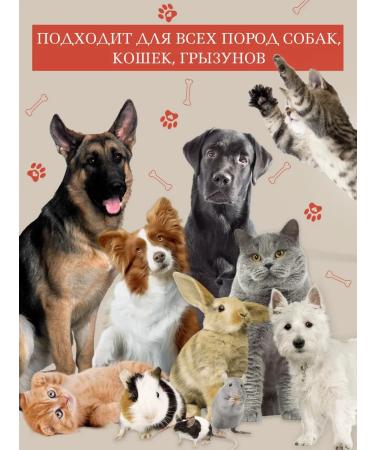 SMAK DOG Beef light delicacies for dogs 300 grams - Buy Online on GoSupps.com