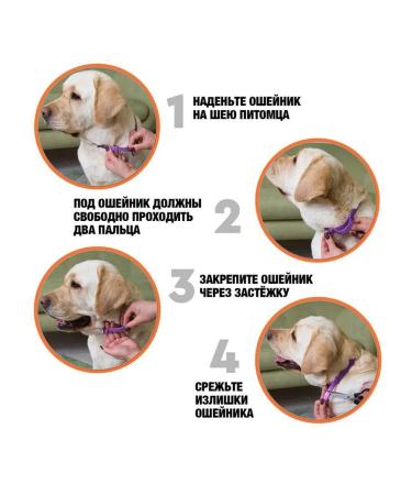 Relaxivet Collar for medium and large dogs for stress 65 cm - Buy Online on GoSupps.com