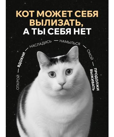 SARKASM Shower gel with dispenser Women 460 ml cat Cast mouth - Buy Online on GoSupps.com