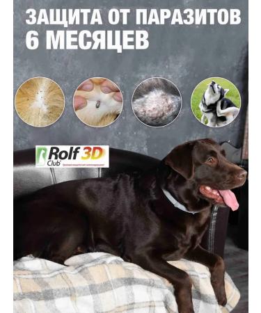 Rolf Club 3D RC 3D collar from fleas and ticks for medium dogs 65 cm - Buy Online on GoSupps.com