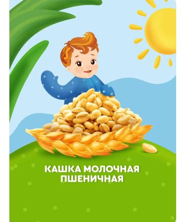 AGUSHA Wheat porridge baby milk 190ml x 10 pcs from 6 months - Buy Online on GoSupps.com