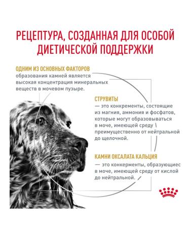 Royal Canin Veterinary Diet Dry food of Urinary S O for dogs in the treatment of ICD 2kg x 2pcs - Buy Online on GoSupps.com