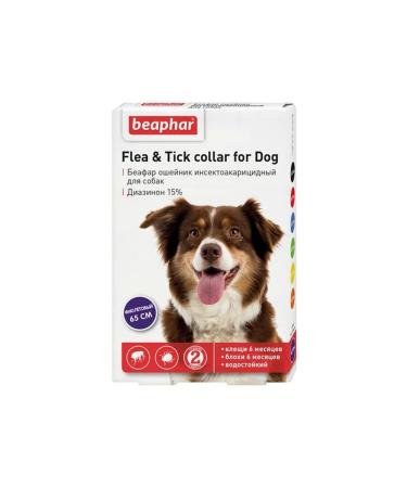 beaphar Belch collar for dogs 65 cm purple