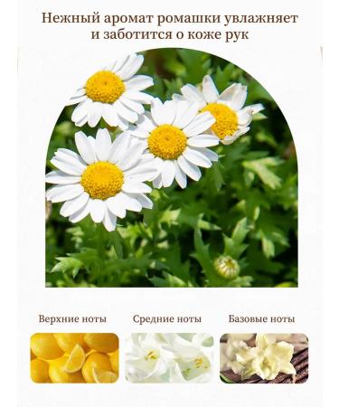 Moisturizing hand cream with dry protection - Buy Online on GoSupps.com