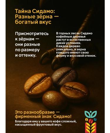 ZAZU Coffee Coffee in grains 1 kg Ethiopia of sidamo - Buy Online on GoSupps.com