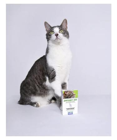 AVZ Dironet 200 tablets for cats 10Tab - Buy Online on GoSupps.com