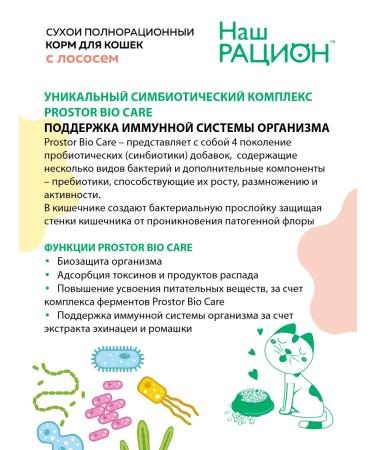 OUR DIET Adult cat food salmon 10 kg - Buy Online on GoSupps.com