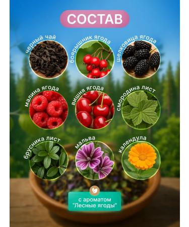 DARCHAI Gift taiga collection black black - Buy Online on GoSupps.com