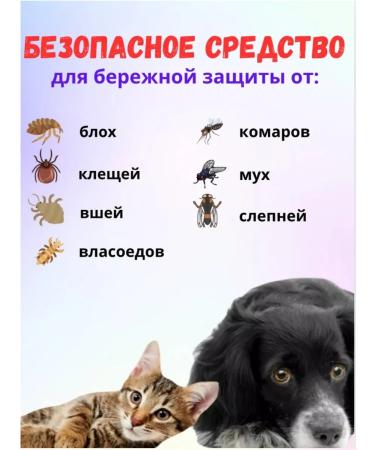 ECO ZOO DOCTOR Drops from fleas and ticks for cats - Buy Online on GoSupps.com