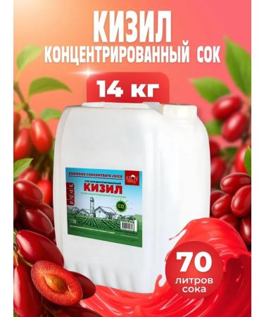 AZOV BREWERY Fruit Kizil 14kg juice concentrate