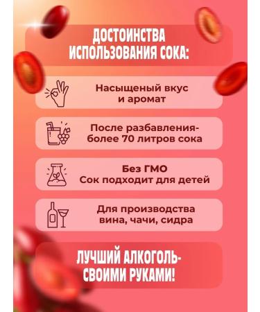 AZOV BREWERY Fruit Kizil 14kg juice concentrate - Buy Online on GoSupps.com