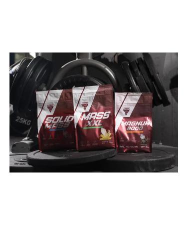 Trec Nutrition TREC Solid Mass Gainer 1000G Gainer for gaining weight vanilla - Buy Online on GoSupps.com