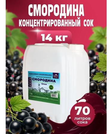 AZOV BREWERY Fruit blackcurrant fruit concentrate 14kg