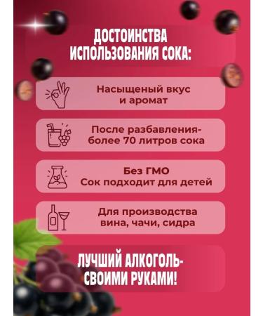 AZOV BREWERY Fruit blackcurrant fruit concentrate 14kg - Buy Online on GoSupps.com