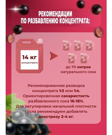 AZOV BREWERY Fruit blackcurrant fruit concentrate 14kg - Buy Online on GoSupps.com