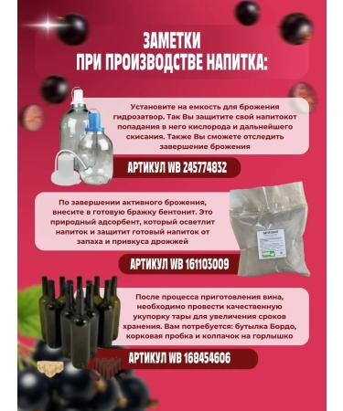 AZOV BREWERY Fruit blackcurrant fruit concentrate 14kg - Buy Online on GoSupps.com