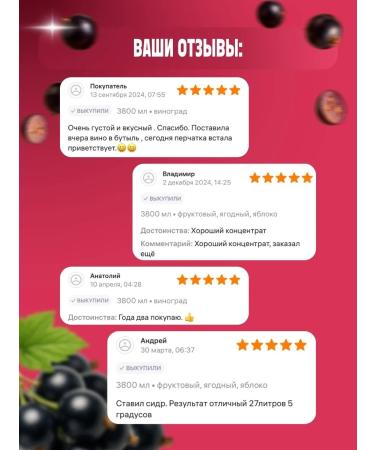 AZOV BREWERY Fruit blackcurrant fruit concentrate 14kg - Buy Online on GoSupps.com