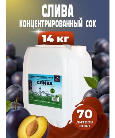 AZOV BREWERY Fruit plum juice concentrate 14kg